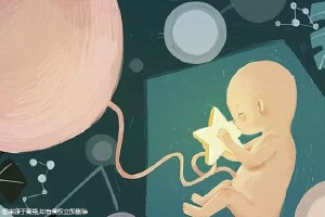 代生供卵公司